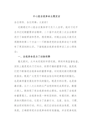 中心组自我革命主题发言