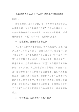 某街道办事处2024年“三夏”禁烧工作动员会讲话
