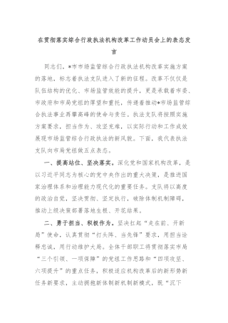 在贯彻落实综合行政执法机构改革工作动员会上的表态发言
