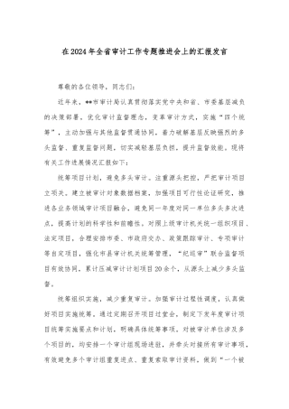 在2024年全省审计工作专题推进会上的汇报发言