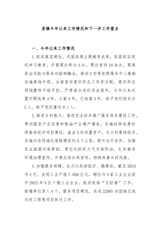 某镇今年以来工作情况和下一步工作重点