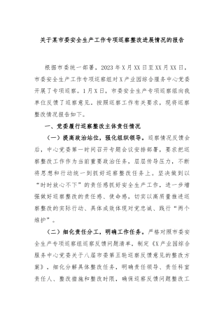 关于某市委安全生产工作专项巡察整改进展情况的报告