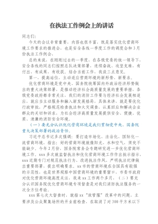 在执法工作例会上的讲话