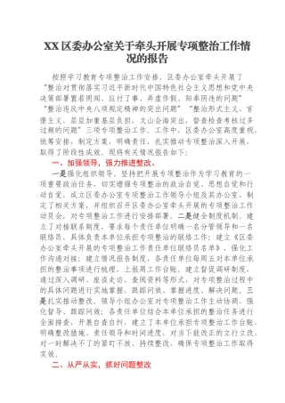 XX区委办公室关于牵头开展专项整治工作情况的报告