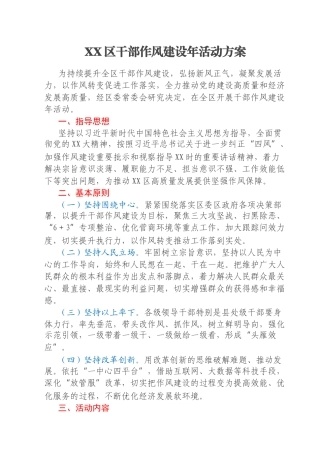 XX区干部作风建设年活动方案