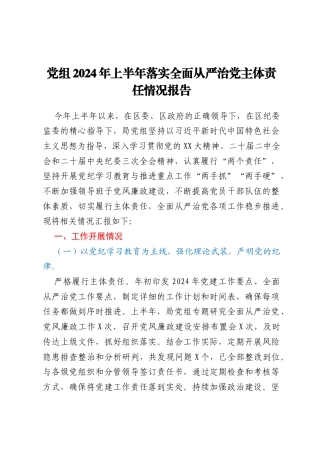 党组2024年上半年落实全面从严治党主体责任情况报告