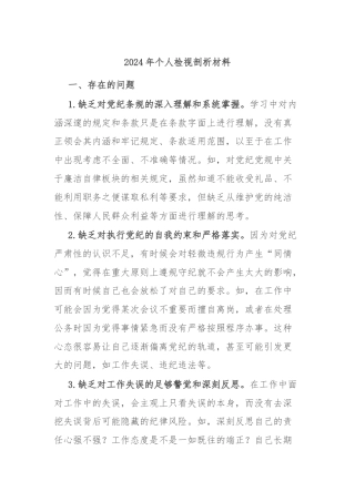 2024年个人检视剖析材料
