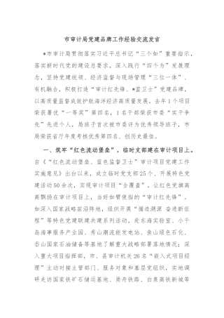 市审计局党建品牌工作经验交流发言
