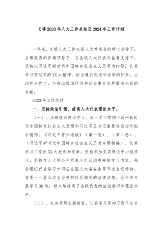 X镇2023年人大工作总结及2024年工作计划