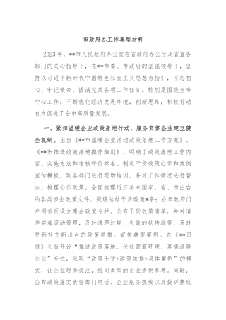市政府办工作典型材料
