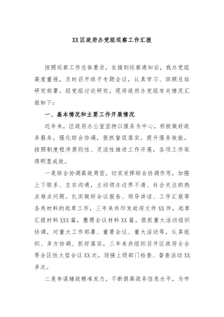 XX区政府办党组巡察工作汇报