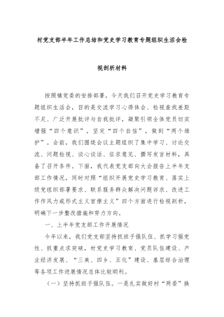 关于村党支部半年工作总结和党史学习教育专题组织生活会检视剖析材料（老）