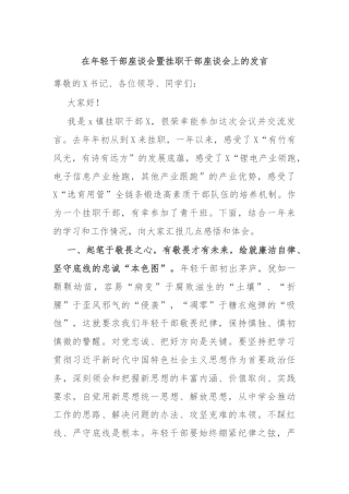 在年轻干部座谈会暨挂职干部座谈会上的发言