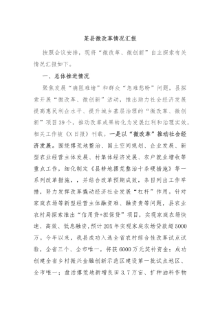 某县微改革情况汇报