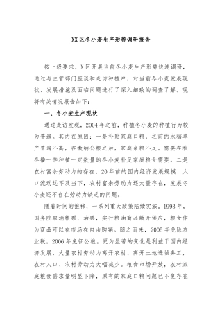 XX区冬小麦生产形势调研报告
