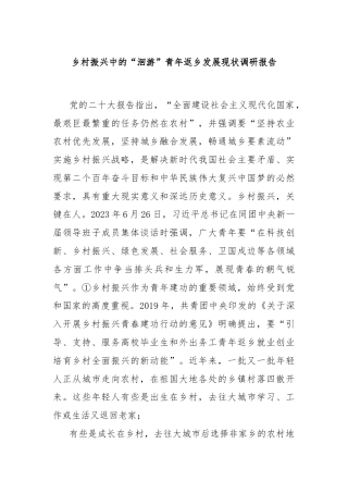 乡村振兴中的“洄游”青年返乡发展现状调研报告