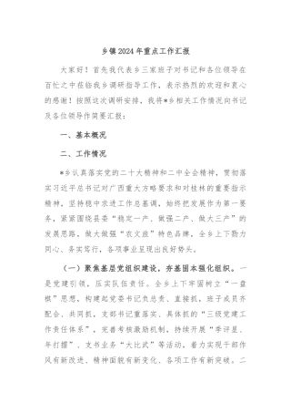 乡镇2024年重点工作汇报