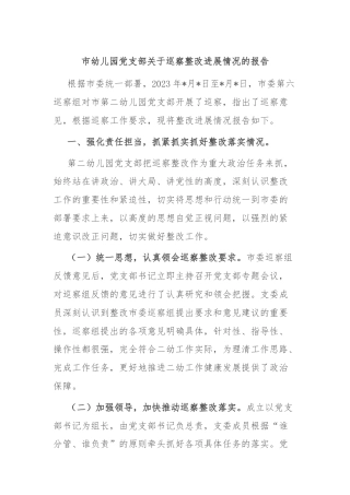 市幼儿园党支部关于巡察整改进展情况的报告