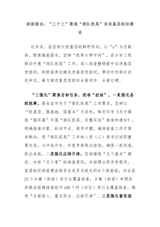 经验做法：“三个三”聚焦“排队抓尾”夯实基层组织建设