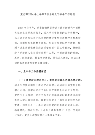 党支部2024年上半年工作总结及下半年工作计划