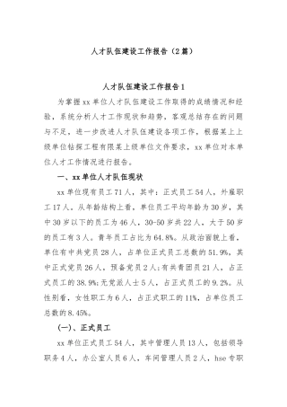 (2篇)关于人才队伍建设工作报告