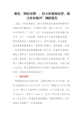 强化‘神经末梢’，壮大村集体经济，助力乡村振兴”调研报告