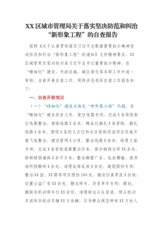 XX区城市管理局关于落实坚决防范和纠治“新形象工程”的自查报告