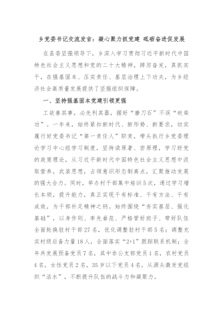 乡党委书记交流发言：凝心聚力抓党建 砥砺奋进促发展