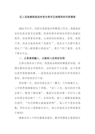 区人民检察院派驻村党支部书记助理到村任职感悟