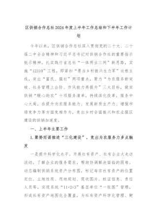 区供销合作总社2024年度上半年工作总结和下半年工作计划
