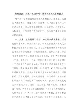 经验交流：实施“五项计划”助推抓党建促乡村振兴