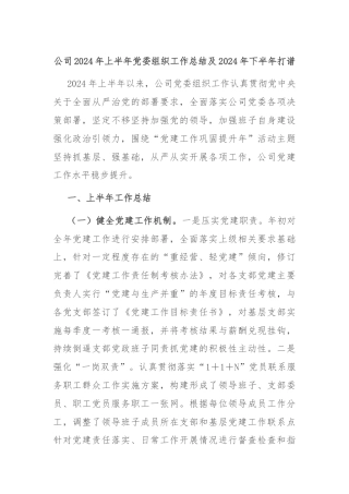 公司2024年上半年党委组织工作总结及2024年下半年打谱
