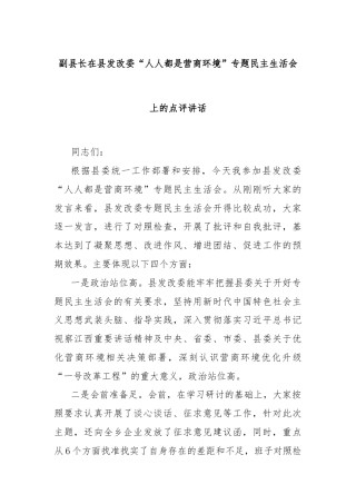 副县长在县发改委“人人都是营商环境”专题民主生活会上的点评讲话
