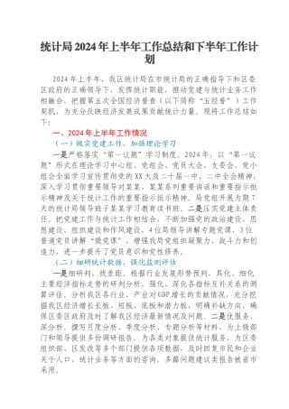 统计局2024年上半年工作总结和下半年工作计划