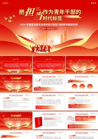 把担当作为青年干部的时代标签PPT党课（20240520）