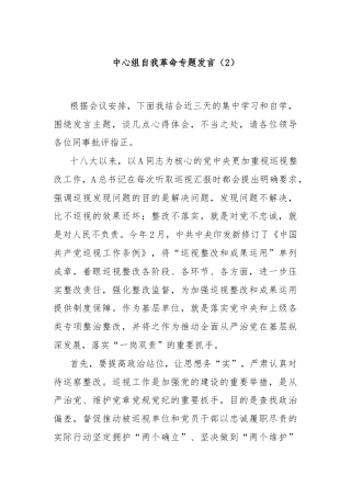 中心组自我革命专题发言（2）
