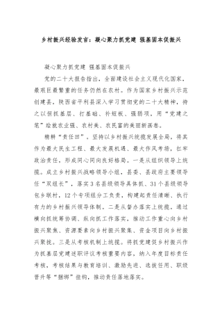 乡村振兴经验发言：凝心聚力抓党建 强基固本促振兴