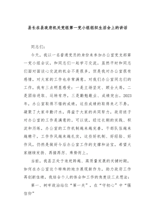县长在县政府机关党组第一党小组组织生活会上的讲话