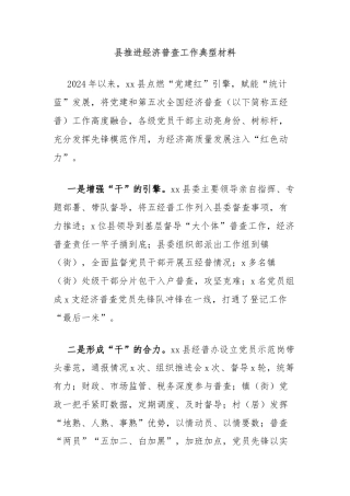 县推进经济普查工作典型材料