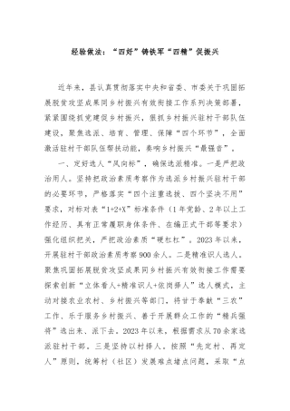 经验做法：“四好”铸铁军“四精”促振兴