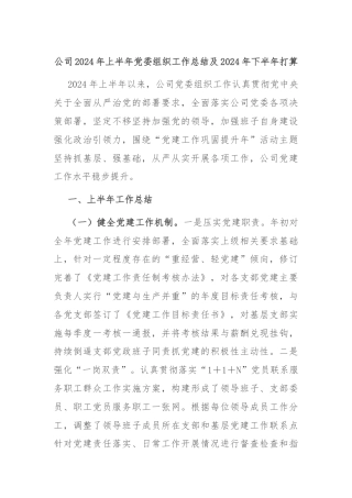 公司2024年上半年党委组织工作总结及2024年下半年打算