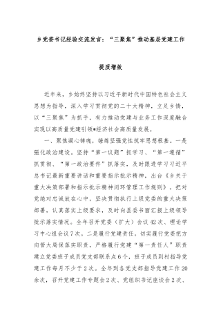 乡党委书记经验交流发言：“三聚焦”推动基层党建工作提质增效