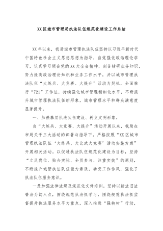 XX区城市管理局执法队伍规范化建设工作总结
