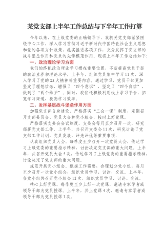 某党支部上半年工作总结与下半年工作打算