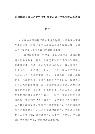 纵深推进全面从严管党治警 锻造忠诚干净担当的山东政法铁军
