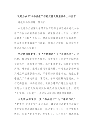 政府办在2024年督查工作高质量发展座谈会上的发言