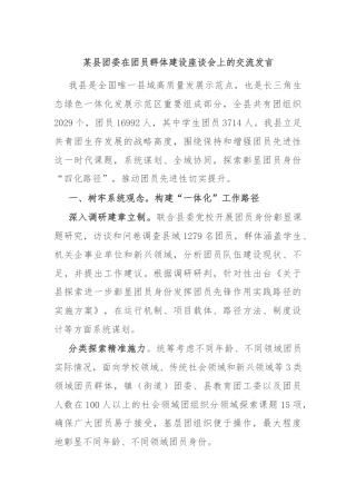 某县团委在团员群体建设座谈会上的交流发言