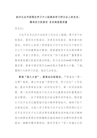 秘书长在市委理论学习中心组集体学习研讨会上的发言：精准发力抓落实 务实高效提质量