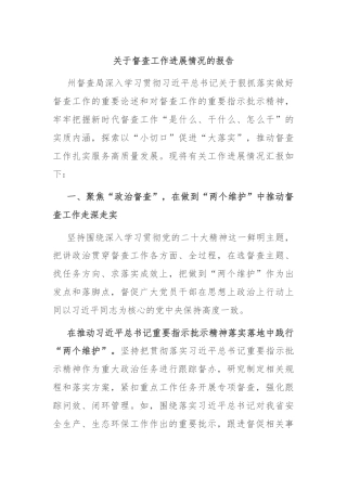 关于督查工作进展情况的报告
