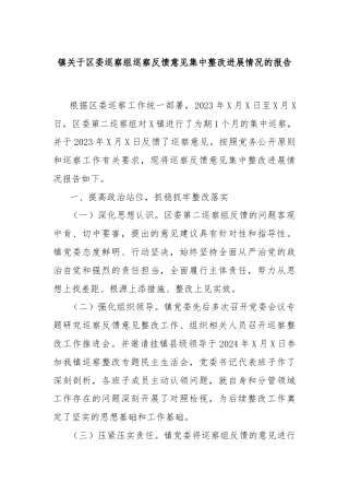 镇关于区委巡察组巡察反馈意见集中整改进展情况的报告